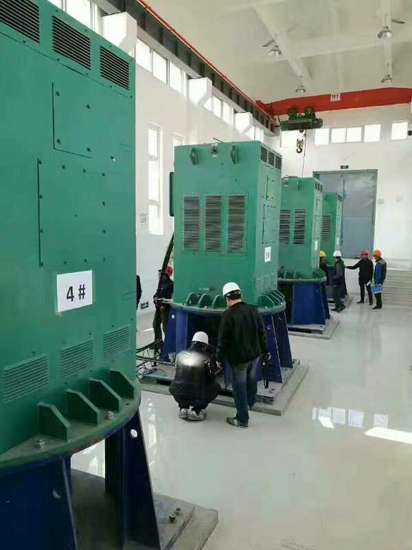 磐安某污水处理厂使用我厂的立式高压电机安装现场