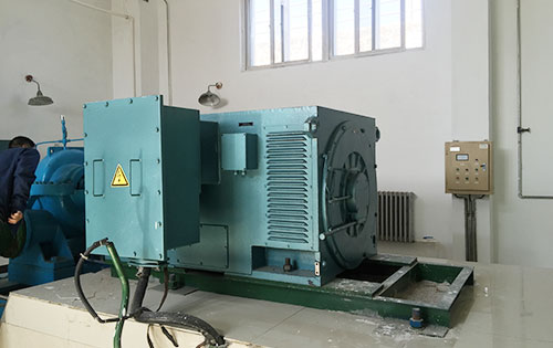 磐安某水电站工程主水泵使用我公司高压电机
