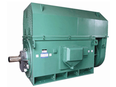 磐安Y系列6KV高压电机
